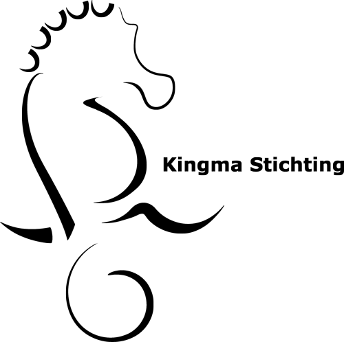logo Kingma Stichting
